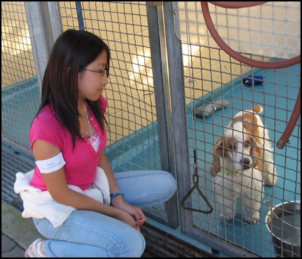 BCSPCA OCT 2006 022.jpg